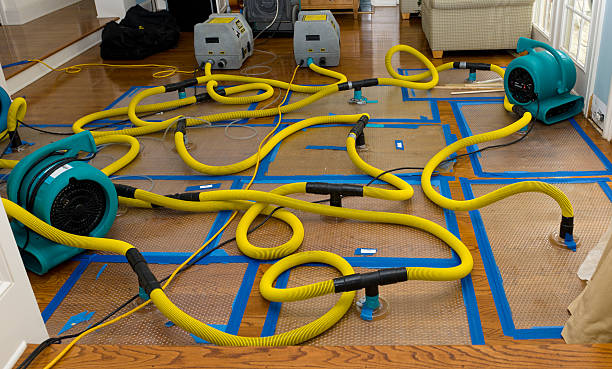 Professional Crawl Space Water Removal technician working in Petersburg, MI
